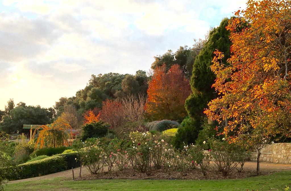 The Garden Cottage At The Olives Yankalilla Exteriér fotografie